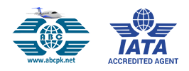 Aviation Business Consultant